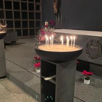 20230119_FG Altenrhein Atempause 3.jpg